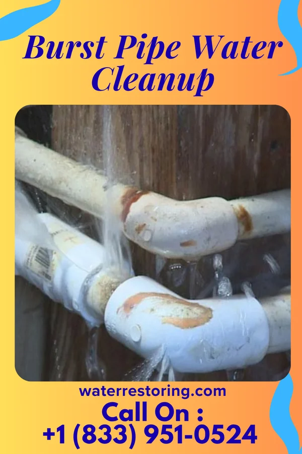 Burst Pipe Water Cleanup in Etowah, TN