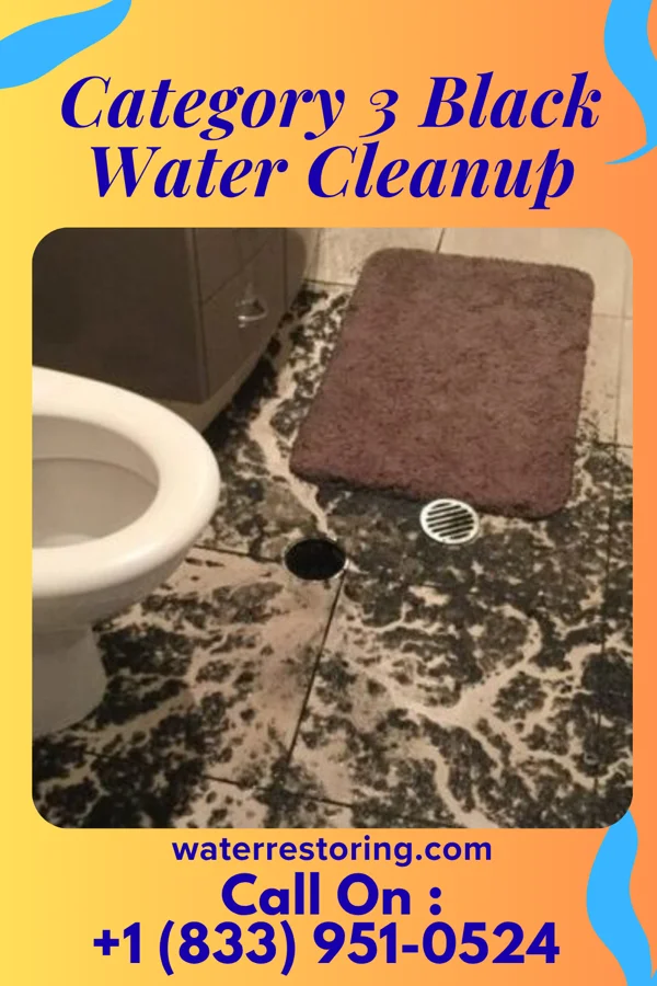 Category 3 Black Water Cleanup in Etowah, TN