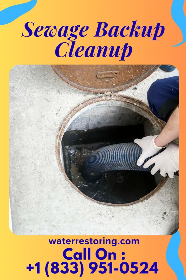 Sewage Backup Cleanup in Etowah, TN