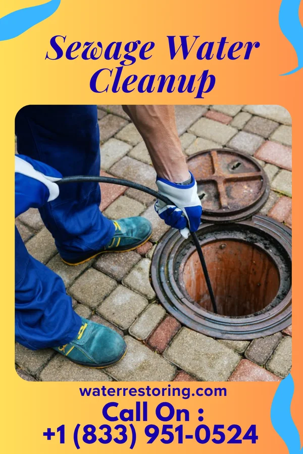 Sewage Water Cleanup in Etowah, TN