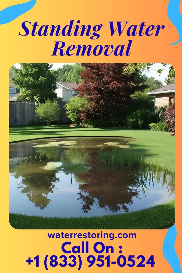 Standing Water Removal in Etowah, TN